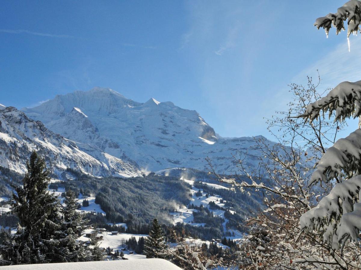 Studio Krokus By Interhome Wengen Esterno foto
