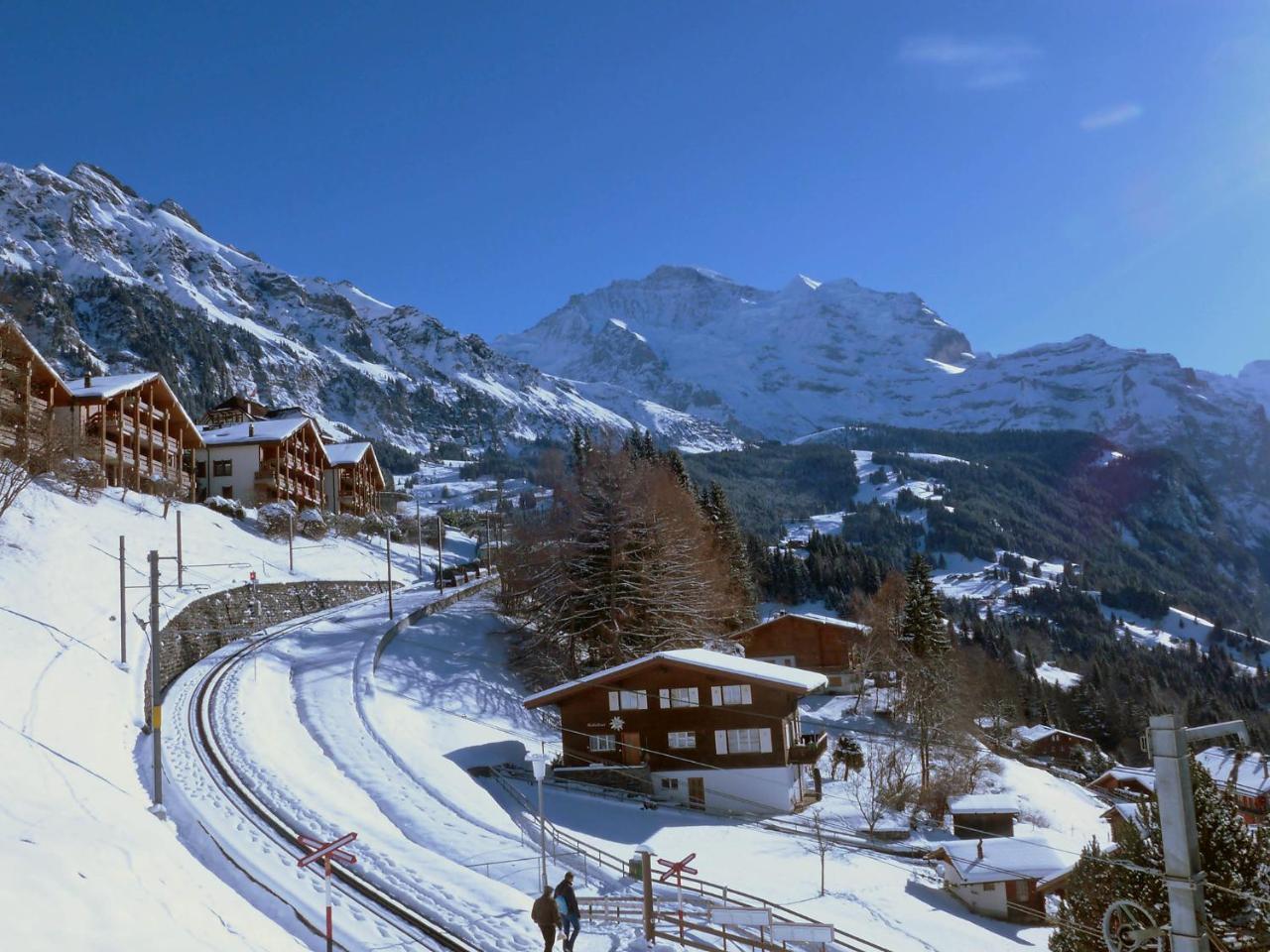 Studio Krokus By Interhome Wengen Esterno foto